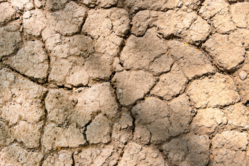 Wall texture soil dry crack pattern of drought lack of water of nature brown old broken background.