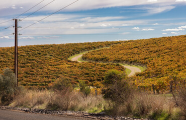 country road in autumn
