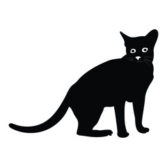 cat icon vector