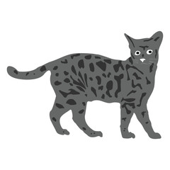 cat icon vector