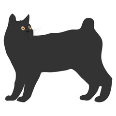 cat icon vector