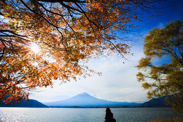 Mt Fuji - 611533257