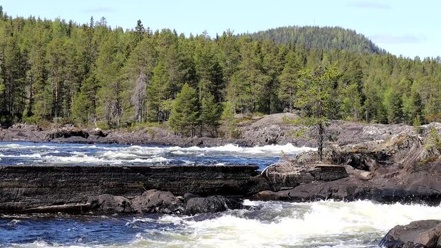 Storforsen, Sweden The Storforsen river rapids on the Pitea River in the Norrbotten region.