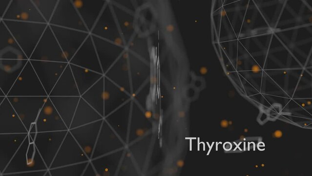 Thyroxine, T4 or levothyroxine thyroid hormone molecule. Prohormone of thyronine T3. Used as drug to treat hypothyroidism. Skeletal formula.