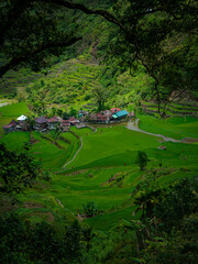 Bagaan rice terraces, Banaue, north Luzon, Philippines
