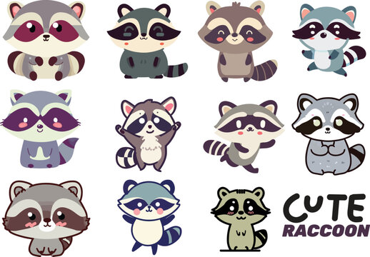 Set of Cute Raccoon