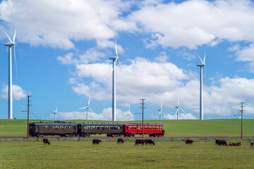 Fototapeta na wymiar Train for travel wind power pland and caw farm in San francisco
