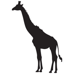Giraffe Vector silhouette illustration, a tall giraffe vector