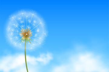realistic dandelion flower seeds in blue background with clouds vector