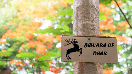 Brown paper sign on a tree trunk with drawing of stag and text beware of deer, concept for animals and environment saving and preservation                                                             