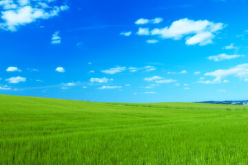 Fototapeta na wymiar Hill, clouds and blue sky with landscape of field for farm mockup space, environment and ecology. Plant, grass and horizon with countryside meadow for spring, agriculture and sustainability