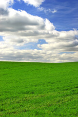Grass, clouds and blue sky with landscape of field for farm mockup space, environment and ecology. Plant, nature and horizon with countryside meadow for spring, agriculture and sustainability