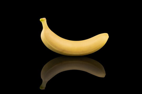 Isolated bananas. Banana fruit isolated on black mirror background. Ripe bananas with clipping path. Banana fruit close up. Banana isolated