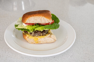 Homemade organic grassfed beef burger with cheese, tomato and lettuce on a plate on kitchen bench.