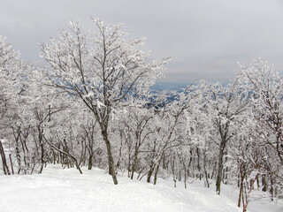 毛無山の雪景色