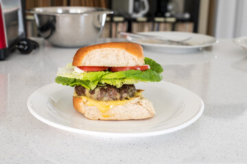 Homemade organic grassfed beef burger with cheese, tomato and lettuce on a plate on kitchen bench.