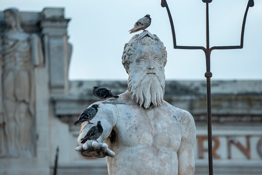 Close-up of birds perching on famous Neptune Statue and fountain