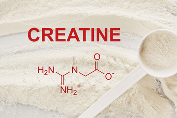 Scoop of creatine monohydrate supplement and chemical formula