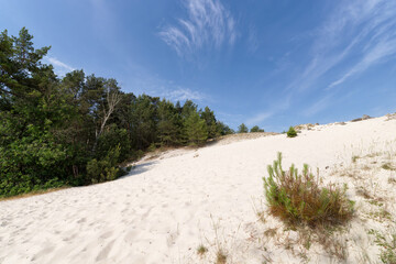 White sand of the Mont Blanc hill in Fontainebleau forest