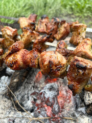 Mutton Kebabs On Grill