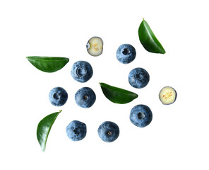 Blueberry collection isolated on  transparent png