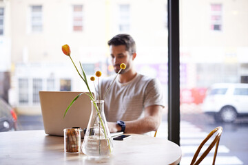 Fototapeta premium Coffee shop, flower vase and man with laptop and plant doing code work in a cafe. Tech, interior and male freelancer customer at a restaurant with mockup and writing with focus on web coding