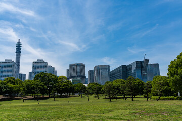 Obraz premium 横浜みなとみらい 臨港パークの風景
