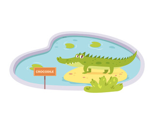 Cute baby crocodile sitting in zoo pond, funny cheerful green animal from tropical swamp
