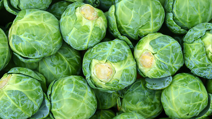 Fototapeta premium A box of brussels sprouts on the farm. Full frame photo of brussels sprouts.