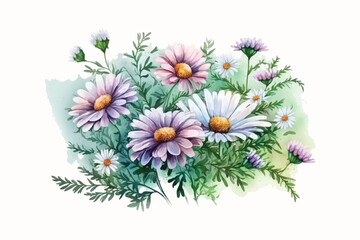 watercolor bouquet of daisies on white