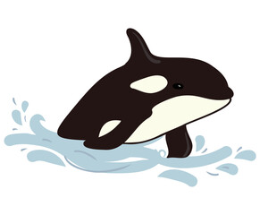 Obraz premium cartoon killer whale or orca, vector illustration