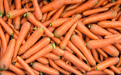 A box of carrots on the farm. Full frame photo of carrots.