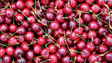 A box of cherries on the farm. Full frame cherry photo. focus cherry