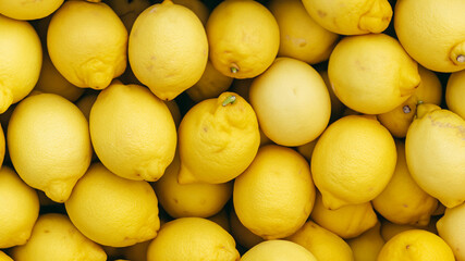A box of lemons at the farm. Full frame lemons photo