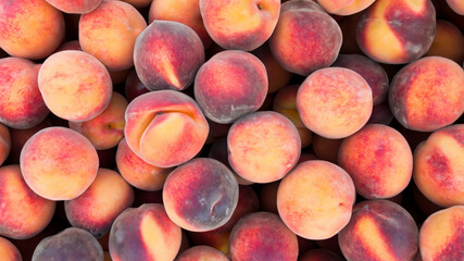 A box of peaches on the farm. Full frame peach photo.