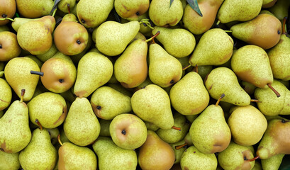A box of pears on the farm. Full frame pear photo.