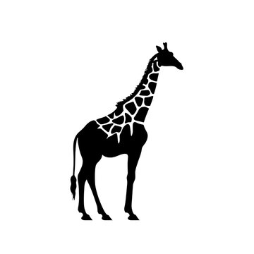 black giraffe silhouette on white background - created using generative AI tools