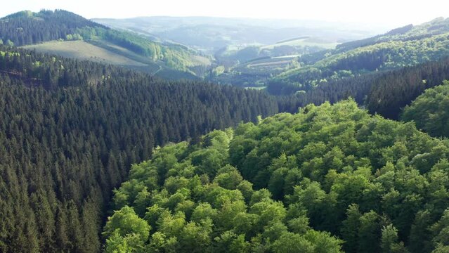 the nature of the sauerland in germany from above 4k 30fps video