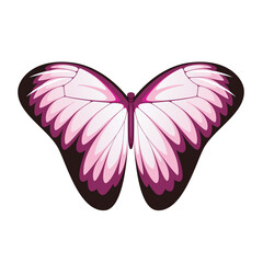 Pink butterfly on a white background. Insect.

