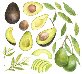 Watercolor illustration of sliced avocado, avocado flowers and leaves set, isolated