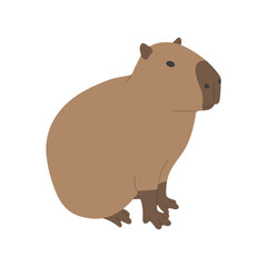 capybara single 11 cute on a white background, vector illustration. capybara is the largest rodent.