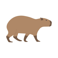 capybara single 14 cute on a white background, vector illustration. capybara is the largest rodent.