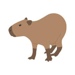 capybara single 13 cute on a white background, vector illustration. capybara is the largest rodent.