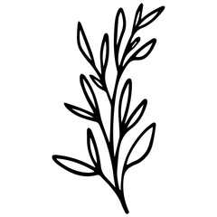 black and white flower