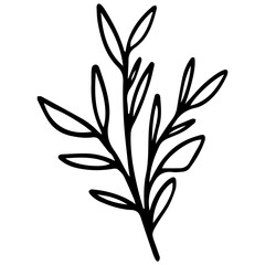 black and white floral