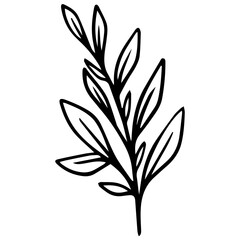 black and white flowers