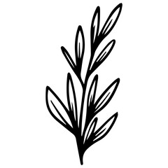 black and white flowers