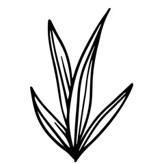 Fototapeta na wymiar illustration of a plant