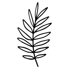 leaf isolated on white background