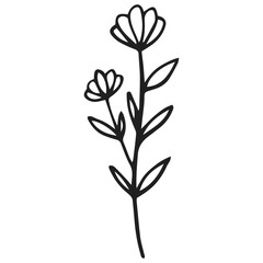 black and white flowers